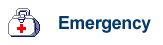 Emergency/Hospital Information